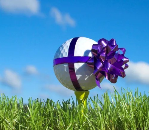 2026 Chapel Hill Restricted Ten Play Pass